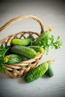 organic cucumbers with herbs on a wooden table photo