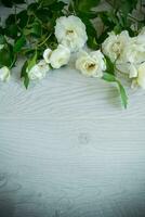 background of many white roses on a light wooden photo