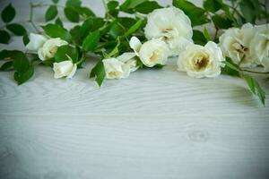 background of many white roses on a light wooden photo