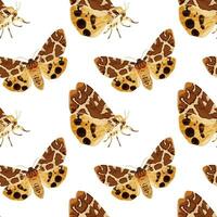 Seamless pattern with brown moth. Nocturnal tropical butterfly. vector