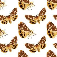 Seamless pattern with brown moth. Nocturnal tropical butterfly. vector