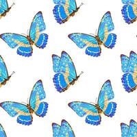 Seamless pattern with blue butterfly. Tropical insect. Neon colors. vector