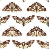 Seamless pattern with Deaths Head Hawk Moth. Nocturnal tropical butterfly. Mystical symbol. vector