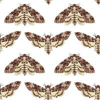 Seamless pattern with Deaths Head Hawk Moth. Nocturnal tropical butterfly. Mystical symbol. vector