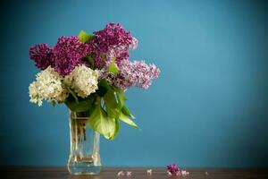 bouquet of different blooming spring lilacs in a vase on blue background photo