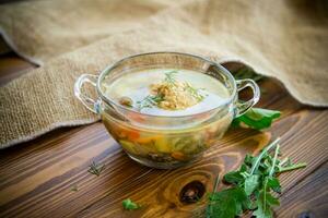 fresh hot soup with chicken meatballs and vegetables in a plate photo