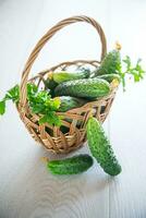 organic cucumbers with herbs on a wooden table photo