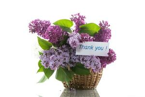 bouquet of different blooming spring lilacs in basket on white background photo