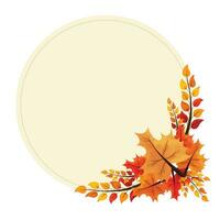autumn leaves frame around decoration board orange red vector illustration design