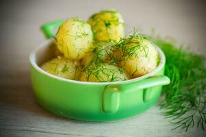 boiled early potatoes with butter and fresh dill in a bowl photo