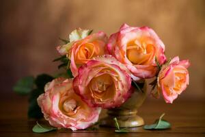 Beautiful blooming yellow and pink rose flowers. photo