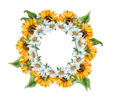 Watercolor illustration of a wreath frame of yellow sunflowers and white daisies. Harvest Festival. The border is isolated. Compositions for posters, cards, banners, flyers, covers, placards. png