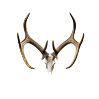 AI generated A antlers of a deer created with generative AI technology png