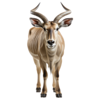 AI generated Eland on transparent background created with generative AI technology png