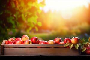ai generado manzanas en de madera caja en mesa a puesta de sol. otoño y cosecha concepto. generativo ai. foto