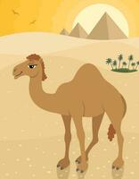 Camel in Desert vector