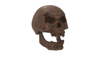 skull transparent backgorund png