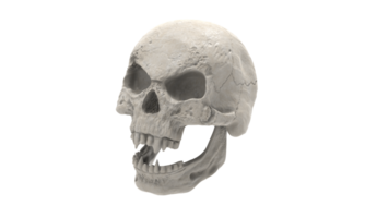 cráneo transparente fondo png