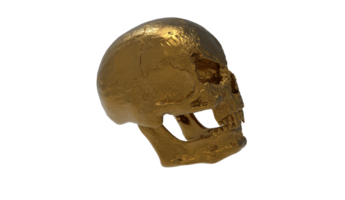 gold skull png image