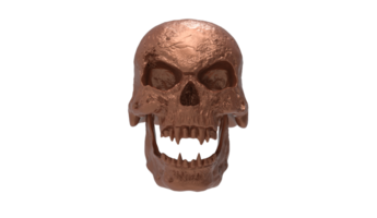 skull transparent backgorund png