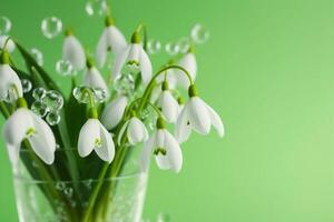 AI generated a bouquet of snowdrops in a transparent tequila glass. splashes of water on petals. first spring flowers. forest. hello spring. women's day concept. green blur background. generative ai. photo