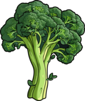 AI generated Broccoli clipart design illustration png