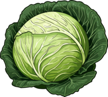 AI generated Cabbage clipart design illustration png