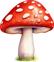 AI generated Mushroom clipart design illustration png