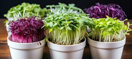 AI generated Vibrant microgreens  a captivating display of colors, textures, and nutrient rich appeal photo