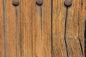 close up of a wooden door with rivets photo