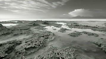 ai generado conservación parche arrecifes paisaje foto