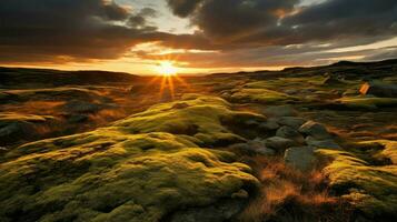 AI generated arctic moss tundra landscape photo