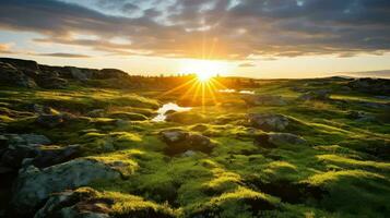 ai generado flora musgo tundra paisaje foto