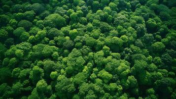 ai generado sustentabilidad árbol eco antecedentes foto