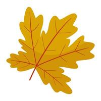 maple leaf autumn vector illustration