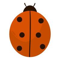 red ladybug animal illustration vector