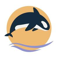 orca animal vector illustration