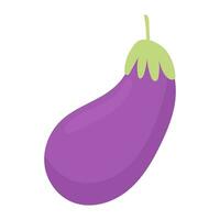 eggplant vegetable vector illustration