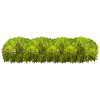 Green bush and tree for landscape and architecture drawing, elements for environment and garden,botanical elements for section in spring. png