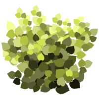 Green bush and tree for landscape and architecture drawing, elements for environment and garden,botanical elements for section in spring. png