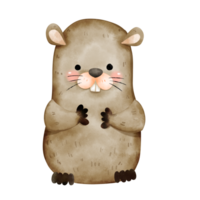 Groundhog in cute watercolor illustration style png