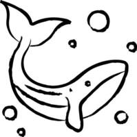 Whale hand drawn vector illustration