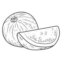 Guava illustration in black and white and vector format..