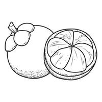 Mangosteen in black and white and vector format.