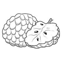 Sugar apple fruit in black and white and vector format.