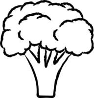 Broccoli hand drawn vector illustration