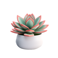 AI generated 3D Succulent Plant Isolated on Transparent Background png