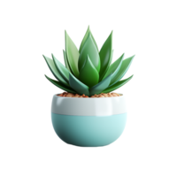 AI generated 3D Succulent Plant Isolated on Transparent Background png