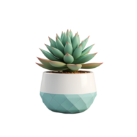 AI generated 3D Succulent Plant Isolated on Transparent Background png