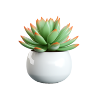 AI generated 3D Succulent Plant Isolated on Transparent Background png